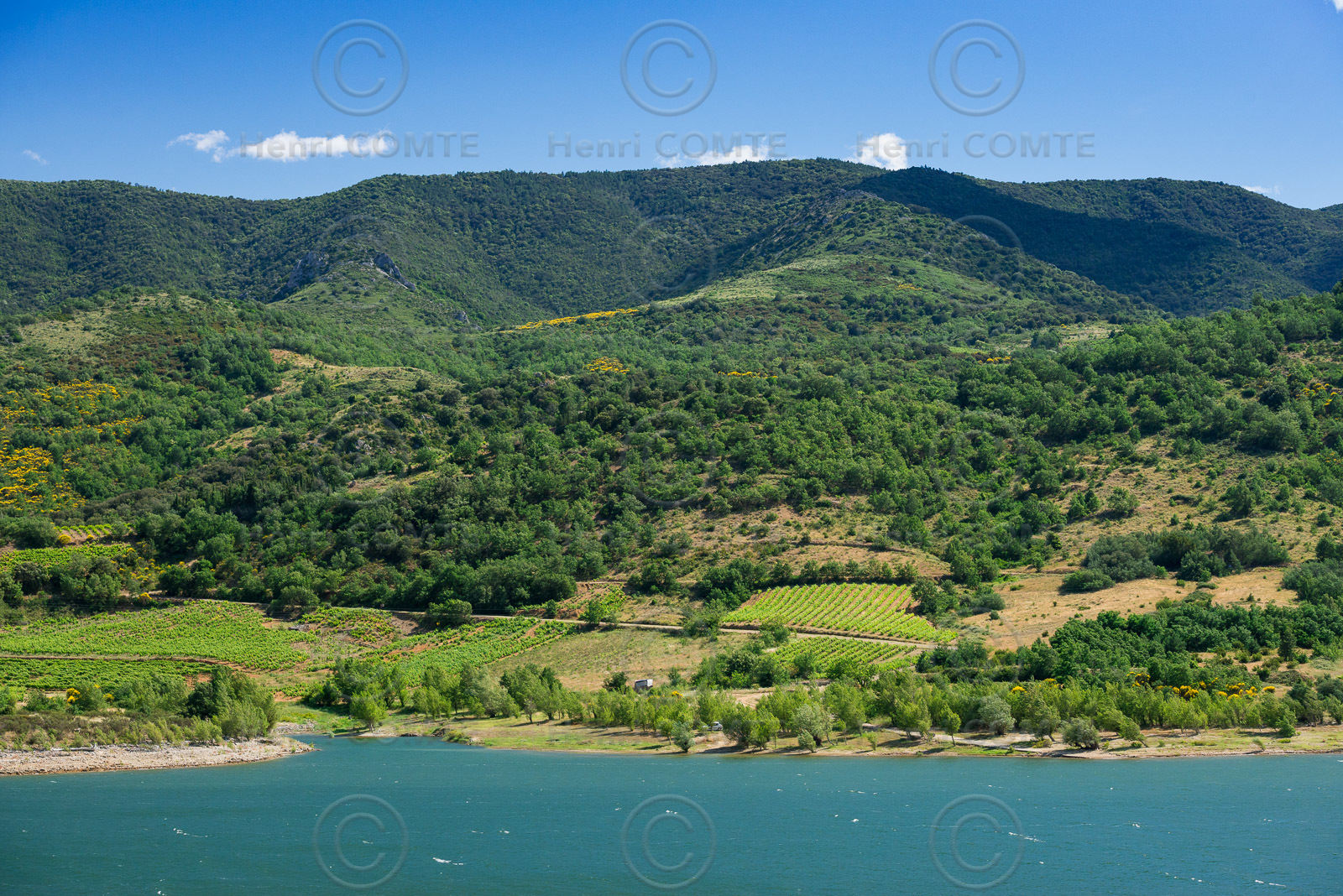 Vignoble de Caramany