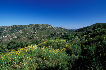 Vallée de la Buèges