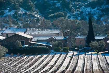 Vignoble du Salagou