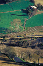 Lauragais