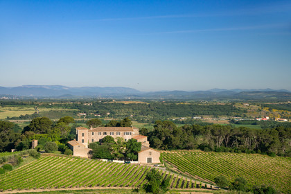 Domaine viticole