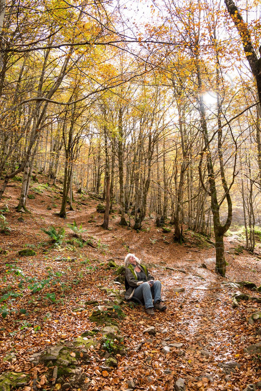 Femme dans forêt