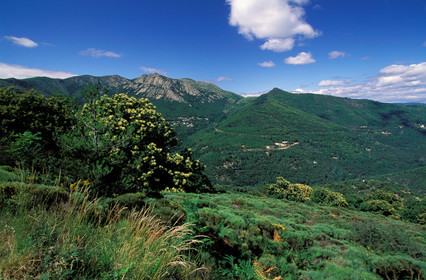 Vallée cevenole