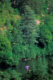 Gorges du Tarn