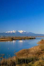 Etang de Canet
