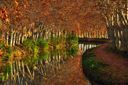 Le canal du Midi