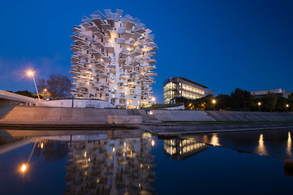 L'Arbre Blanc
