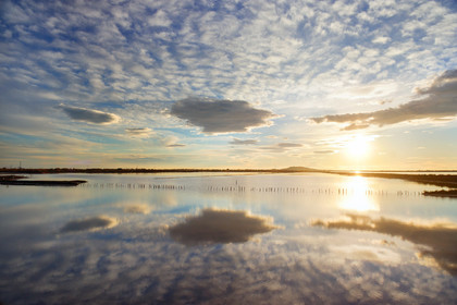 Etang de Thau