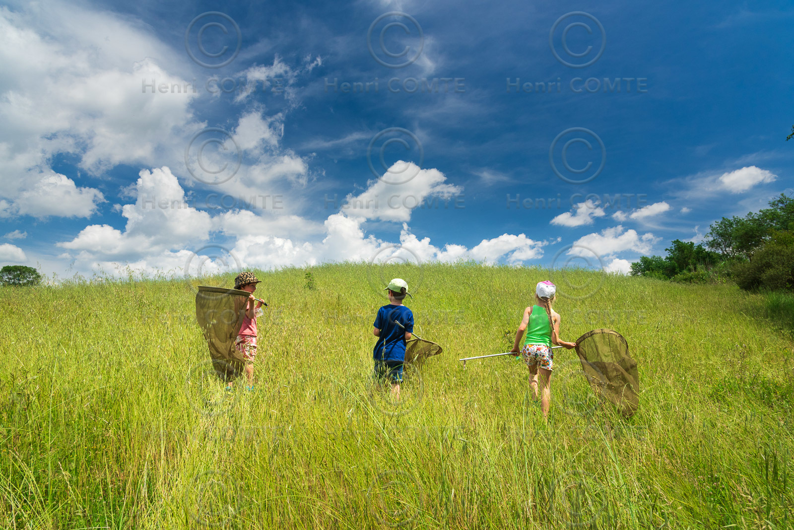 Chasse aux papillons
