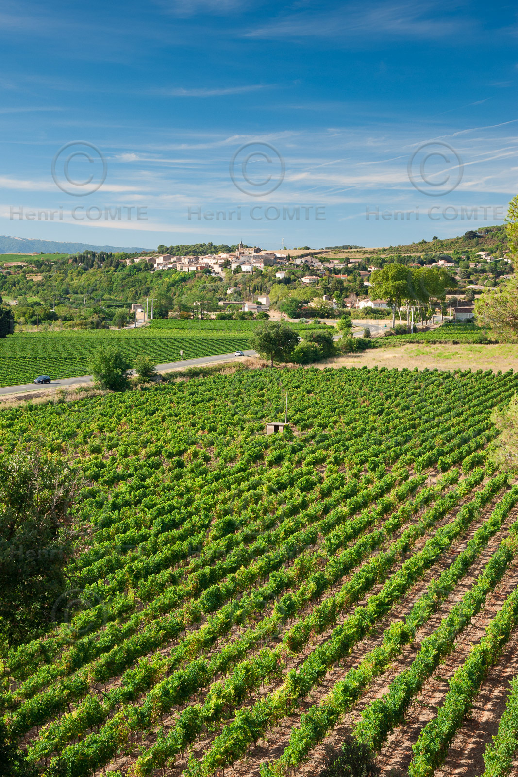Vignoble de Malepére