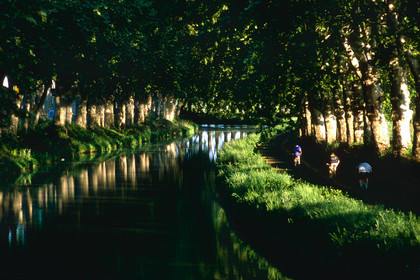 Le canal du Midi