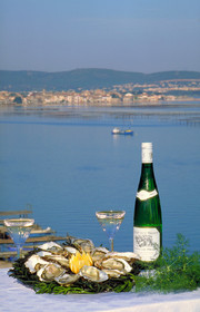 Huitres de Bouzigues