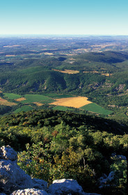Pic Saint Loup