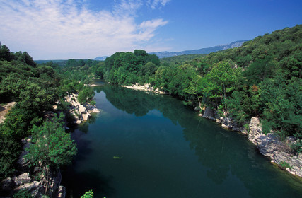 Le fleuve Hérault