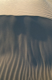 Dune