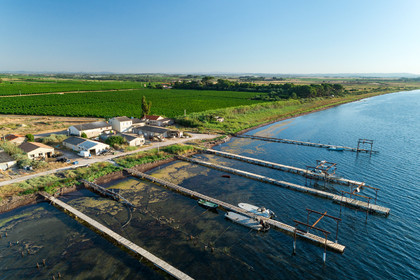 Etang de thau
