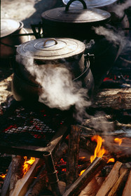 Fête du cochon
