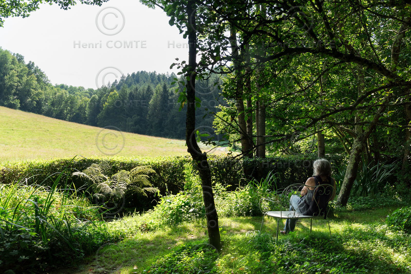 Contemplation d'un paysage