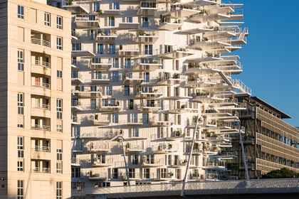 L'Arbre Blanc