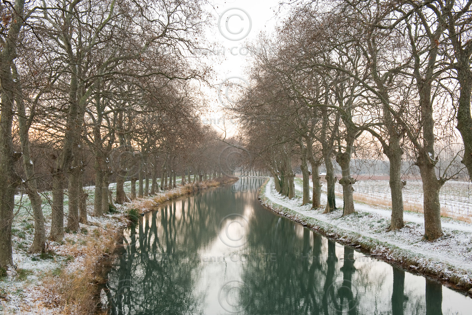 Le canal du Midi