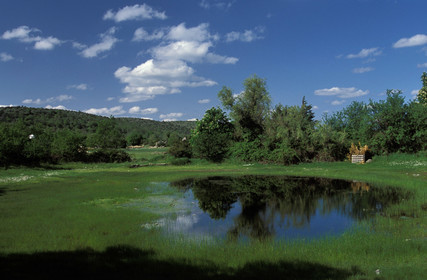 Causse du Larzac