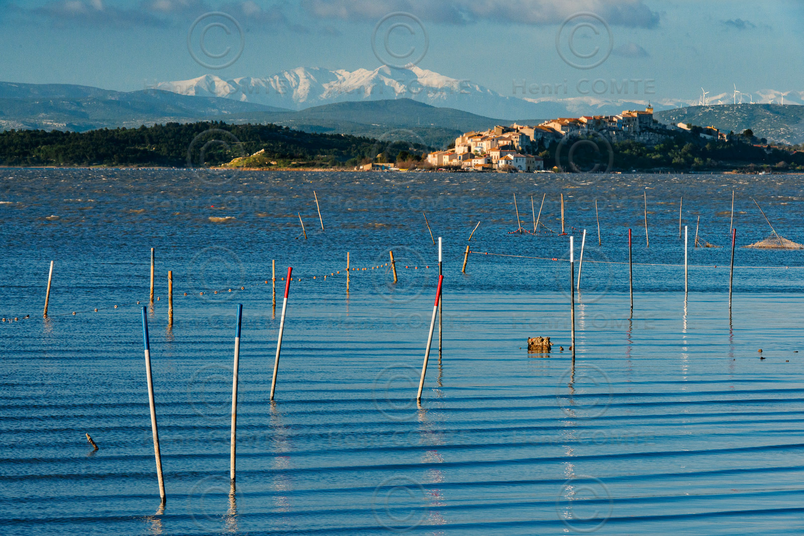 Etang de Bages Sigean