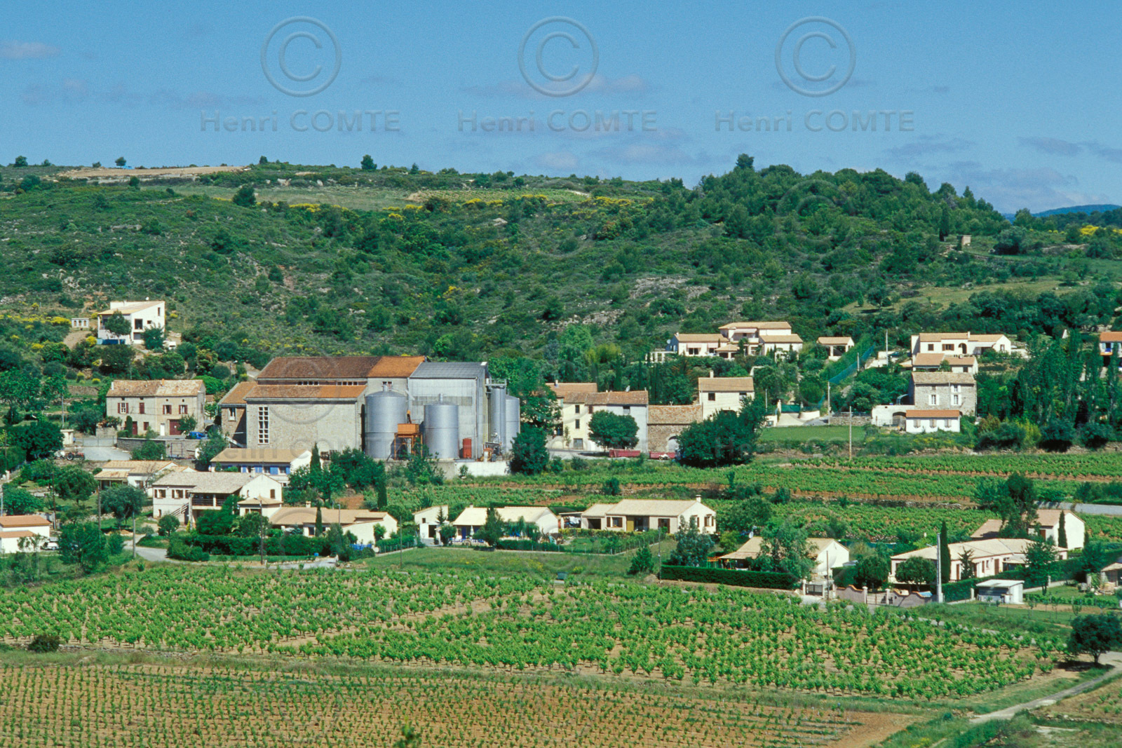 Vignoble Saint Chinian