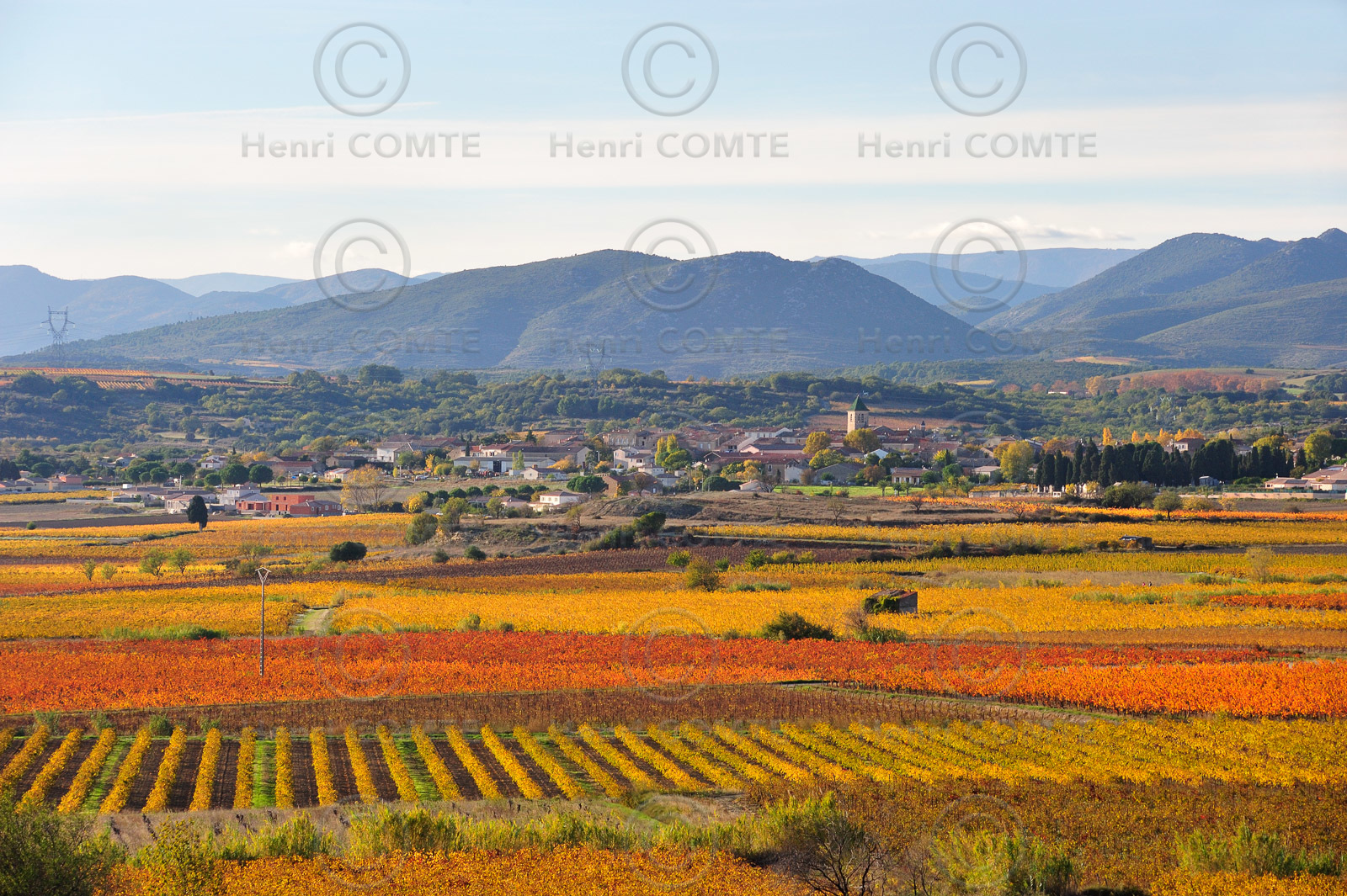 Vignoble de Faugeres
