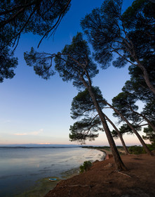 Etang de Thau