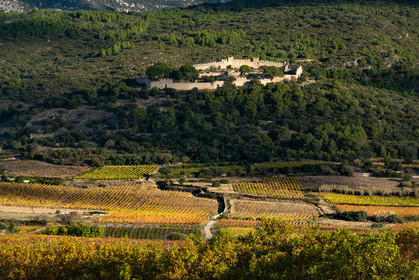 Montpeyroux