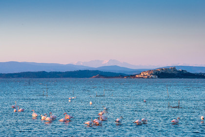 Etang de Bages