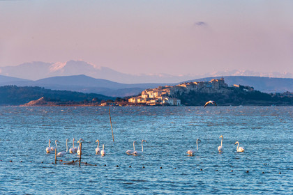 Etang de Bages