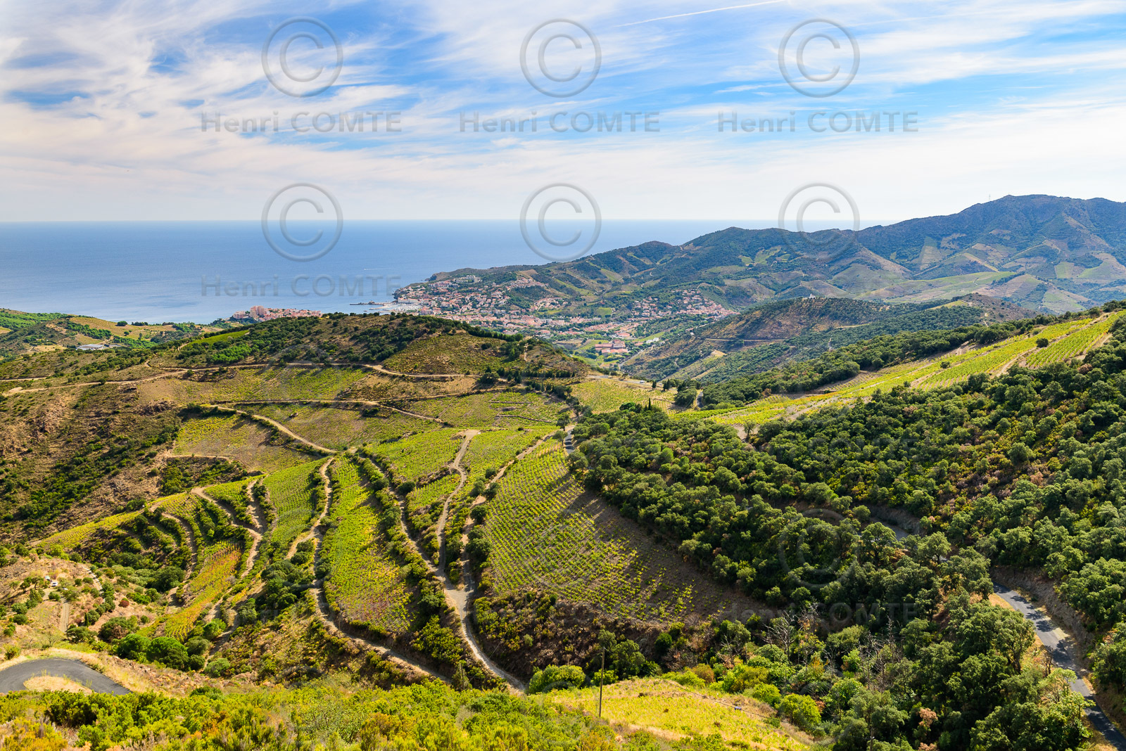 Vignoble de Banyuls