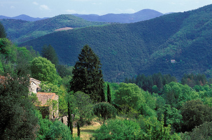 Cévennes