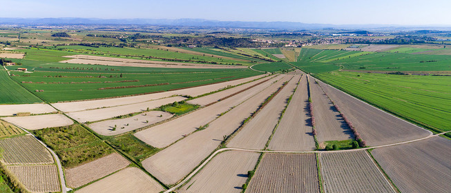 Etang de Montady