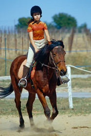 Equitation