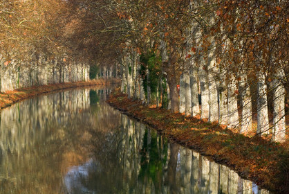 Le canal du Midi