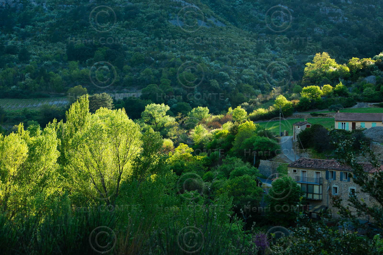 Terrasses du Larzac