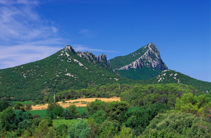 Pic Saint Loup