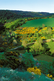 Paysage de Lozère