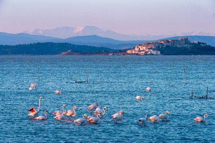 Etang de Bages