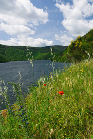 Lac d'Avène