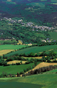 Causse- Lozère