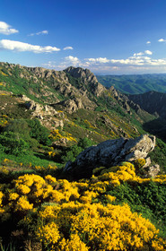 Le massif du Caroux