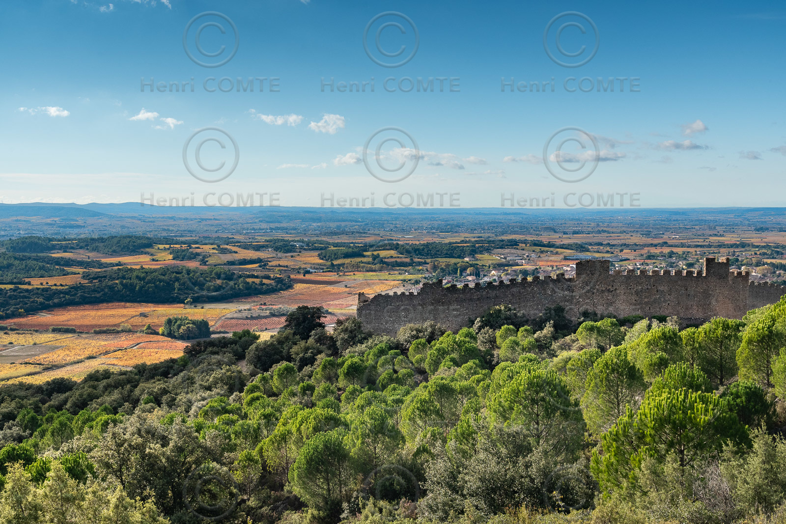 Chateau de Montpeyroux