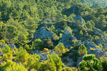 Cirque de Moureze