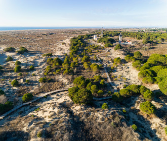 Phare de l'Espiguette
