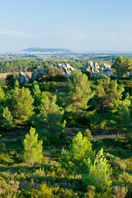 Pays de Thau