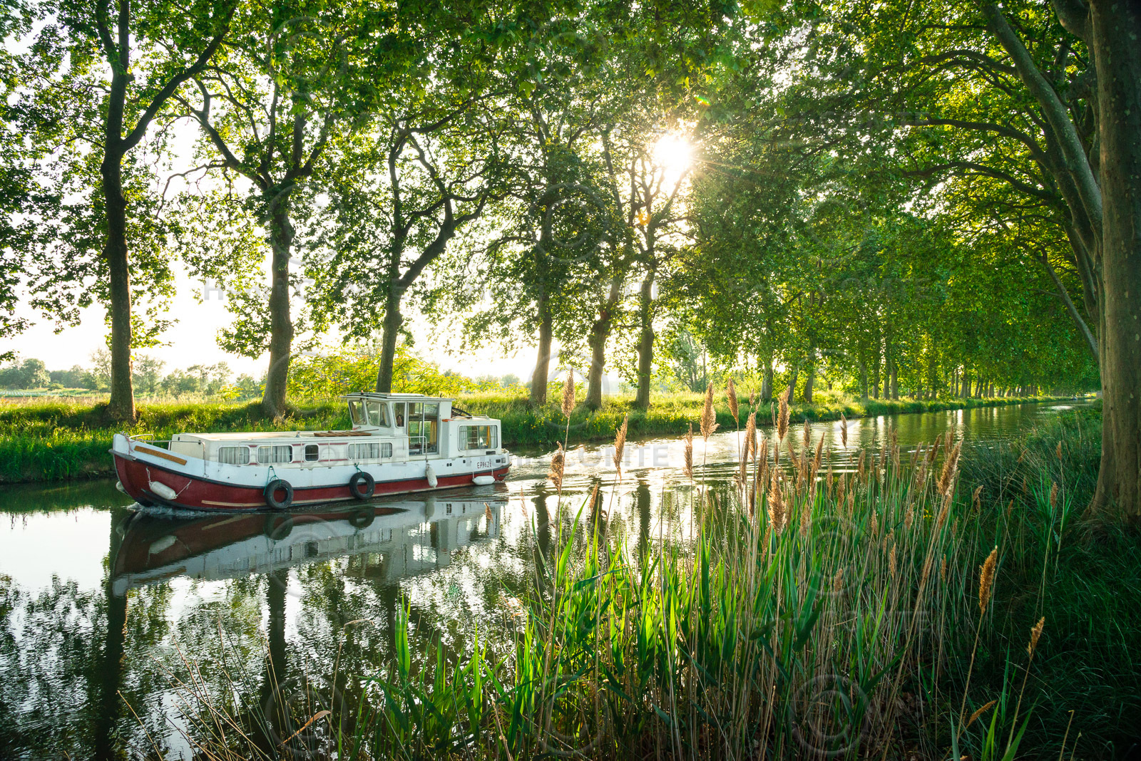Canal du Midi
