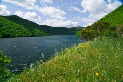 Lac d'Avène